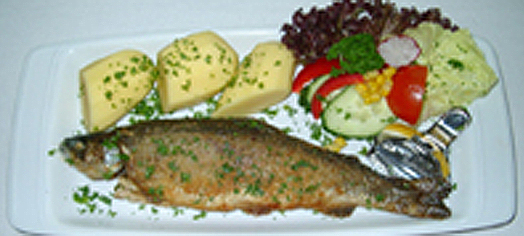 Essenbeispiel - Forelle Essenbeispiel - Forelle